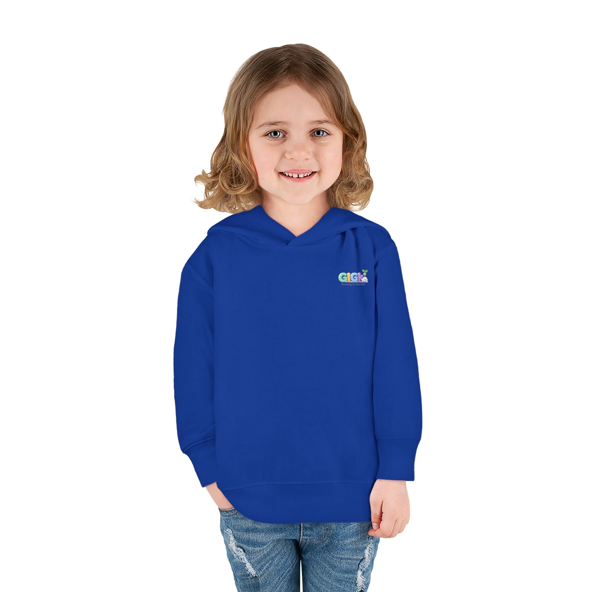 Toddler Hoodie "Welcome Little Princess" — Cute Black Baby Girl with Stuffed Lion Pullover