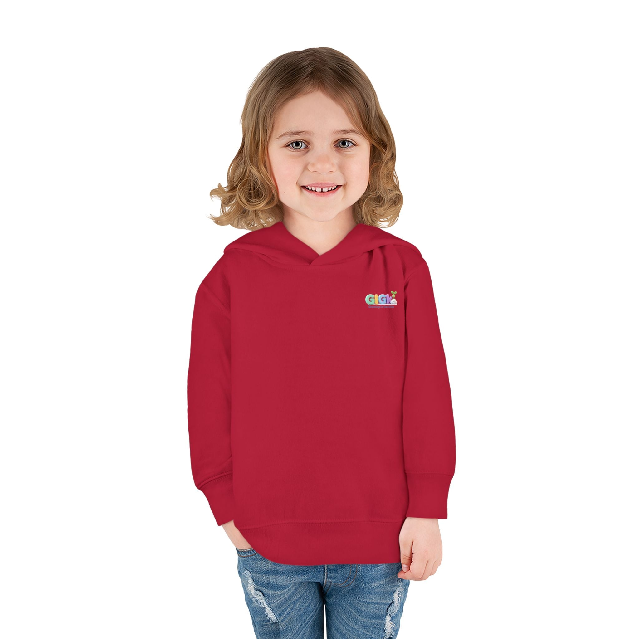 Toddler Hoodie "Welcome Little Princess" — Cute Black Baby Girl with Stuffed Lion Pullover