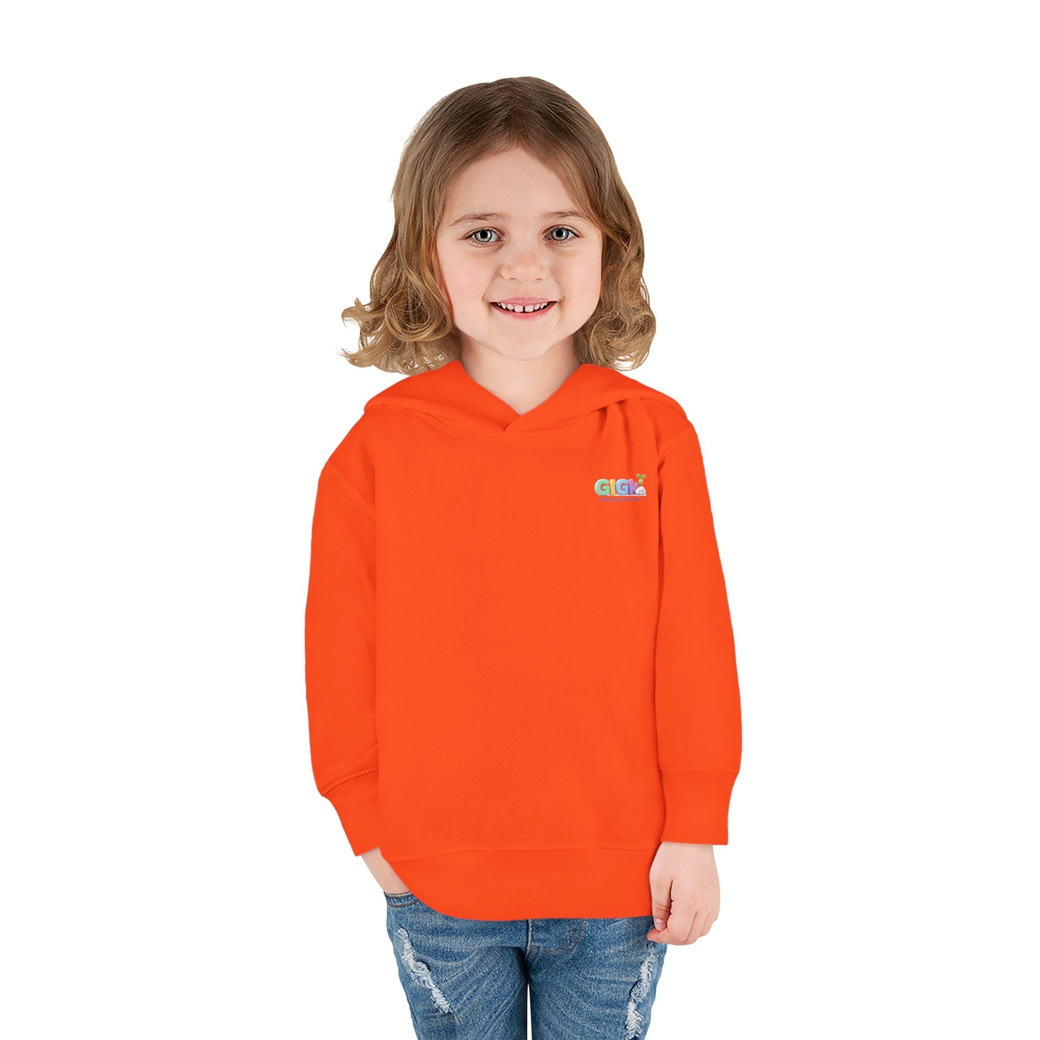 Toddler Hoodie "Welcome Little Princess" — Cute Black Baby Girl with Stuffed Lion Pullover