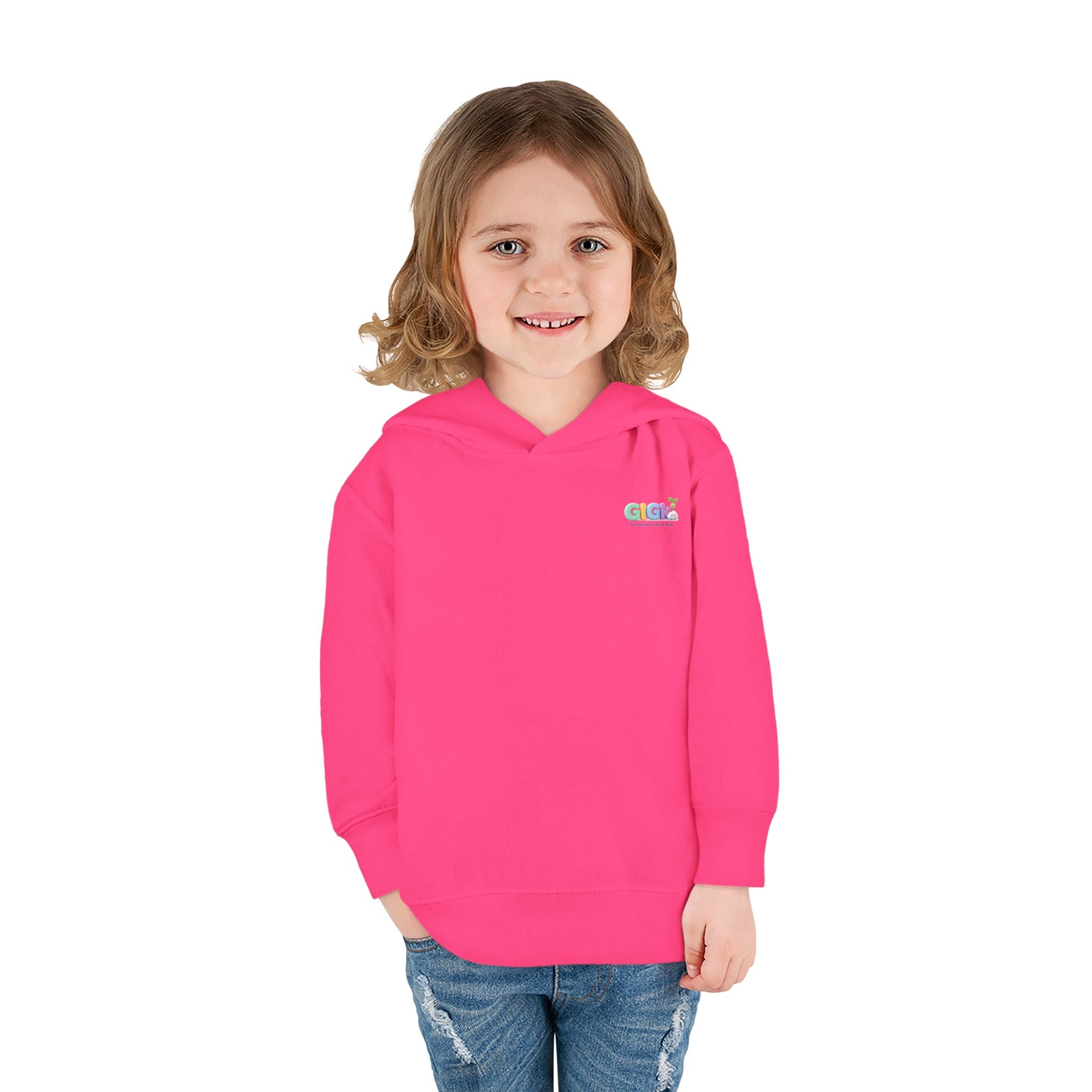 Toddler Hoodie "Welcome Little Princess" — Cute Black Baby Girl with Stuffed Lion Pullover