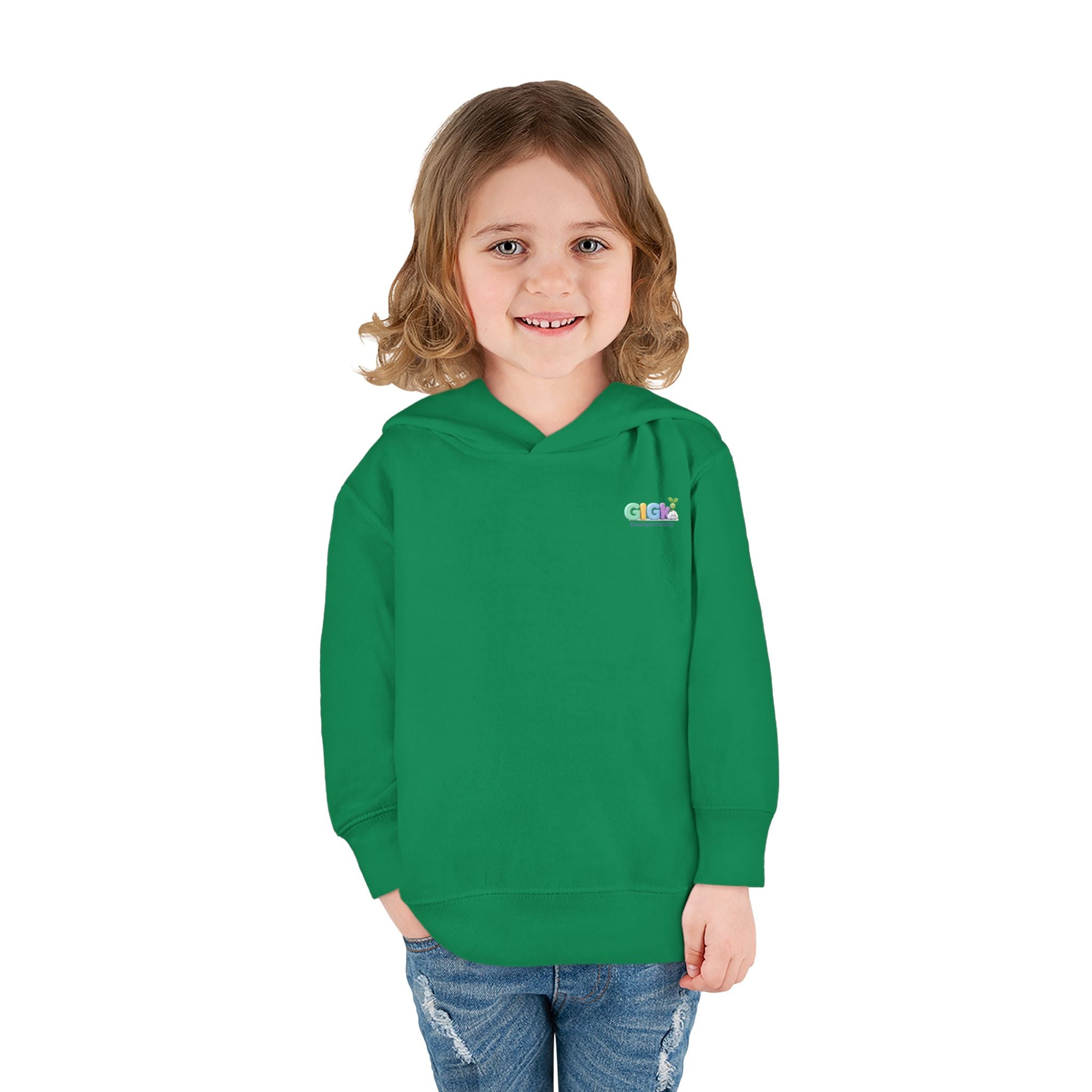 Toddler Hoodie "Welcome Little Princess" — Cute Black Baby Girl with Stuffed Lion Pullover