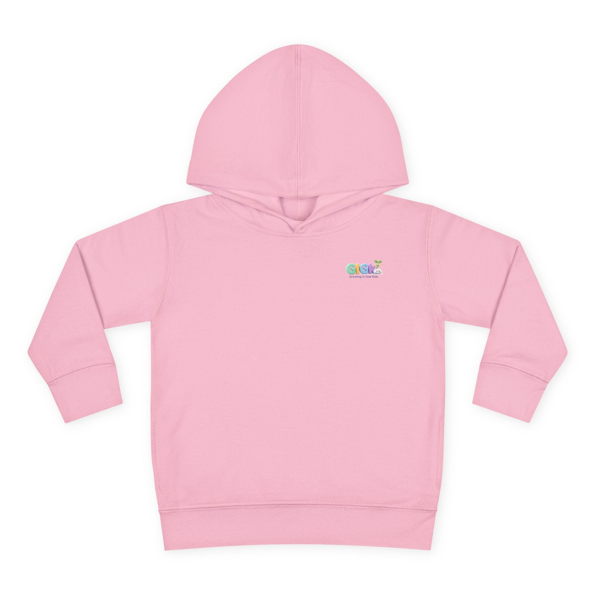 Toddler Hoodie "Welcome Little Princess" — Cute Black Baby Girl with Stuffed Lion Pullover