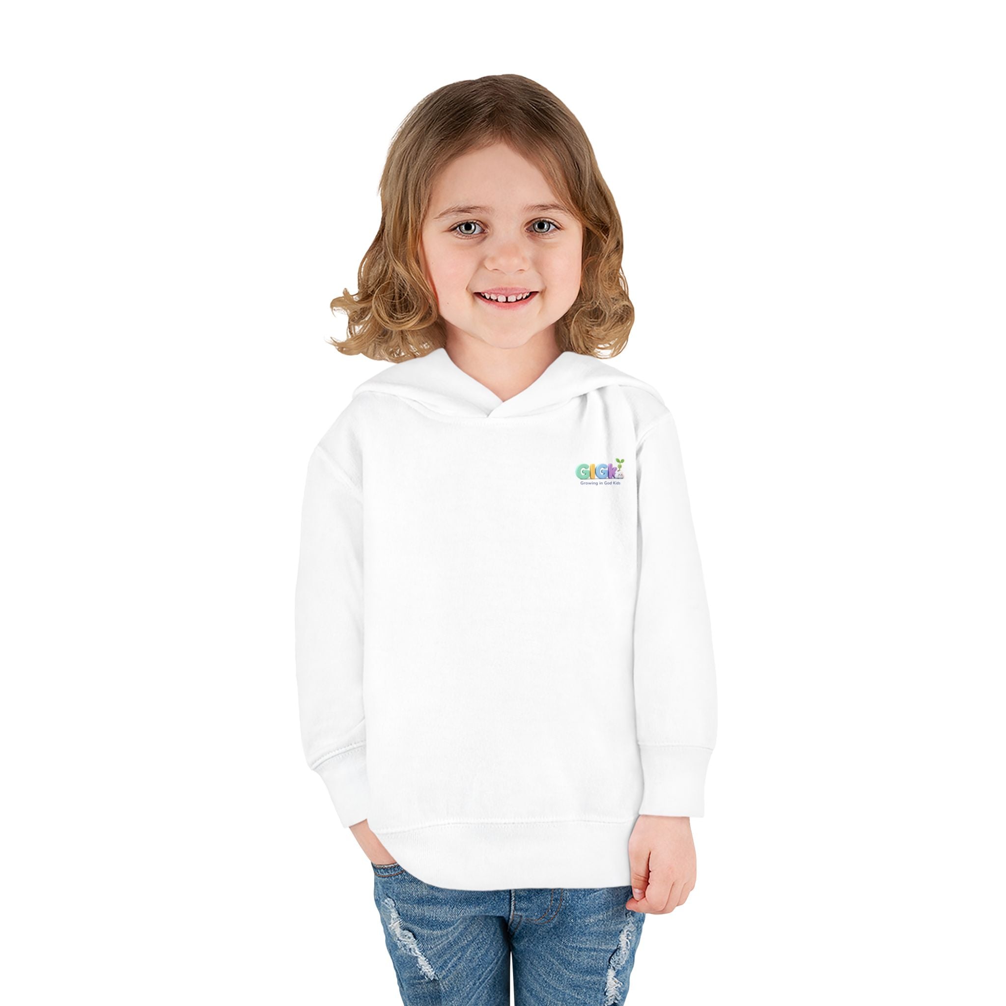 Toddler Hoodie "Welcome Little Princess" — Cute Black Baby Girl with Stuffed Lion Pullover
