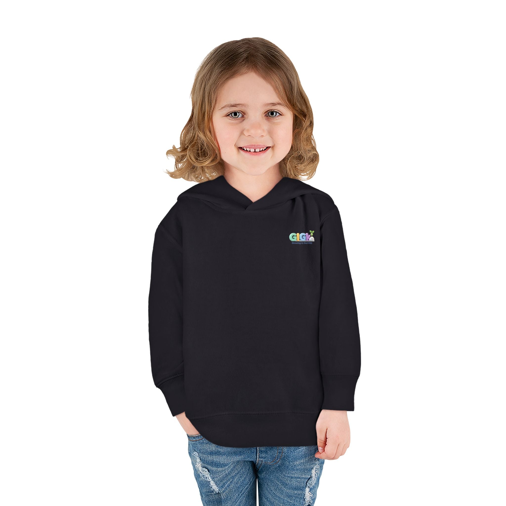 Toddler Hoodie "Welcome Little Princess" — Cute Black Baby Girl with Stuffed Lion Pullover